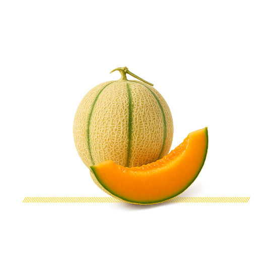 Japanese Melon